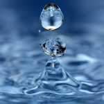 optimal brain function and water