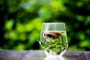 Physical Effects of Anxiety green tea