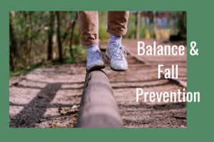 Balance and Fall Prevention Workshop for Facilites