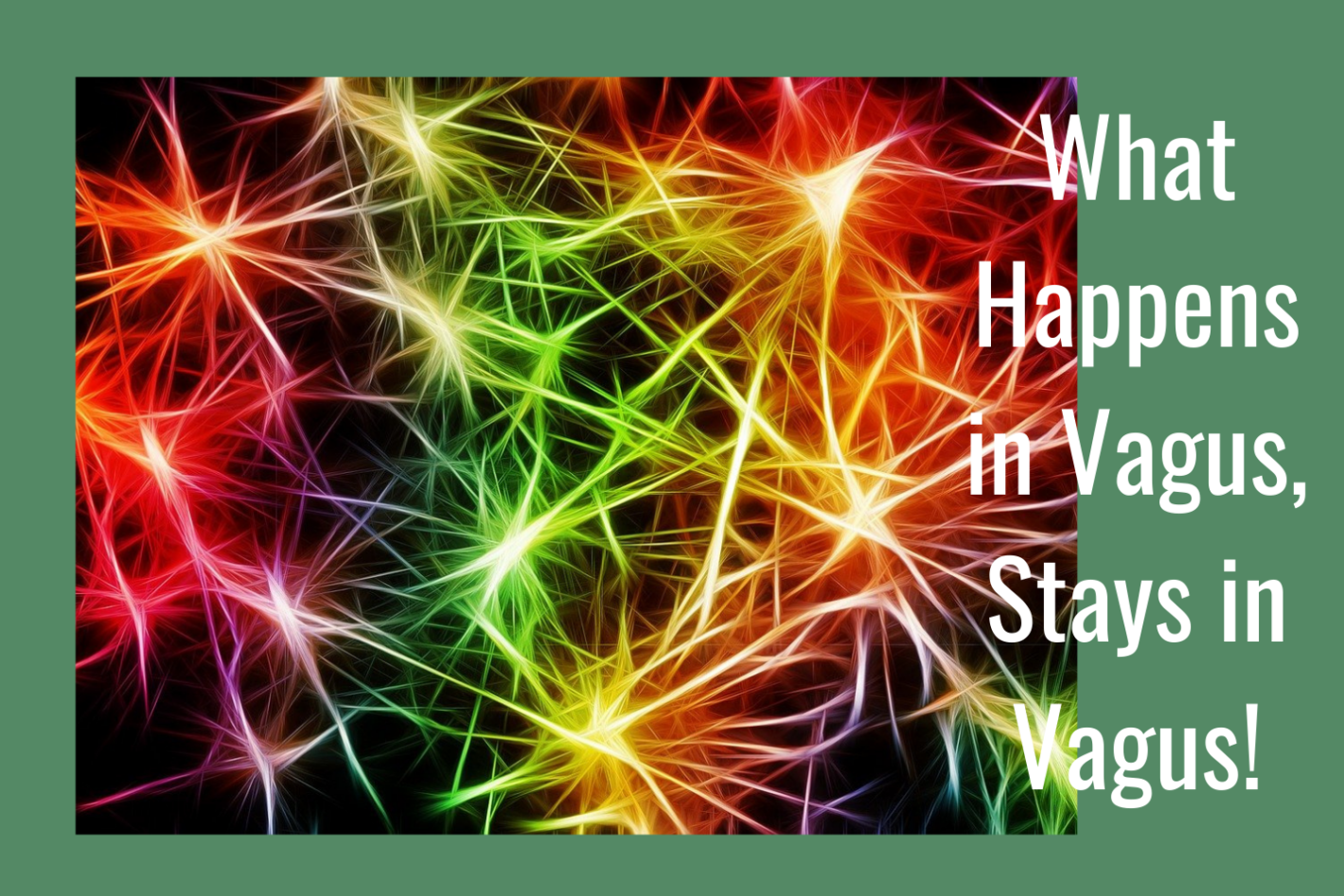 What Happens in Vagus, Stays in Vagus! with Denise Medved & Lana Gelb